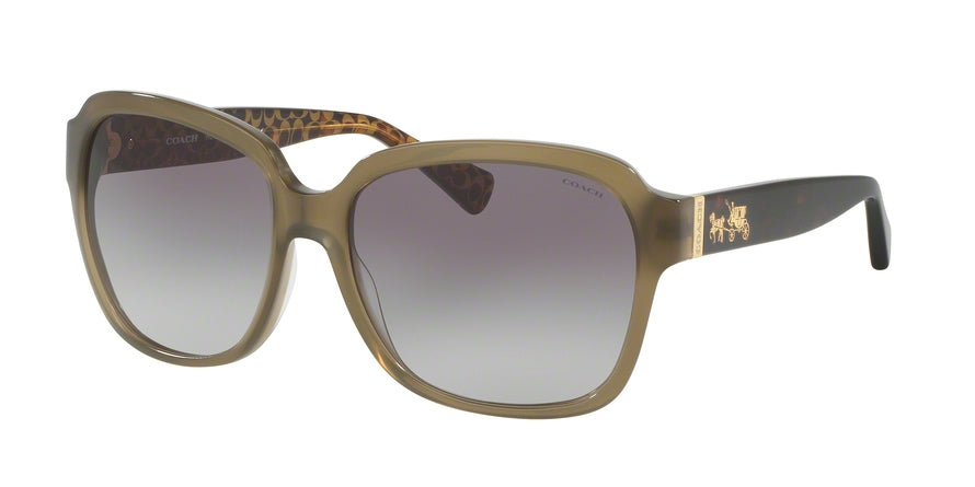 Coach HC8185 Square Sunglasses  53952C-OLIVE/DARK TORT GOLD SIG C 58-16-140 - Color Map green