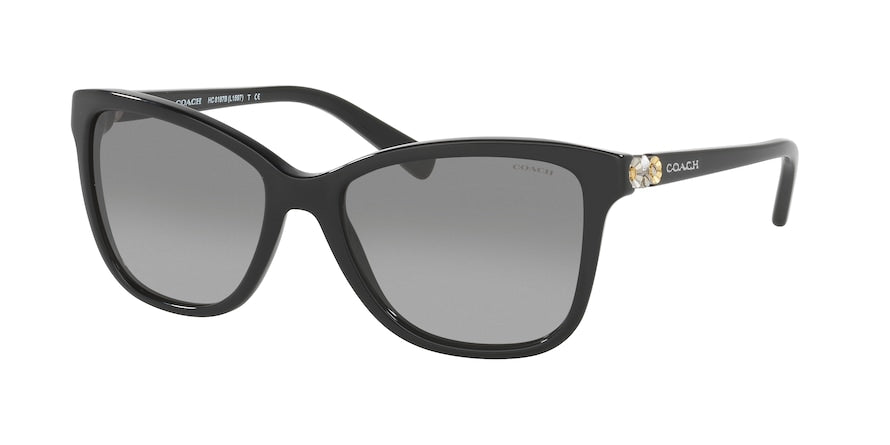 Coach L1597 HC8187B Rectangle Sunglasses  500211-BLACK 54-17-135 - Color Map black