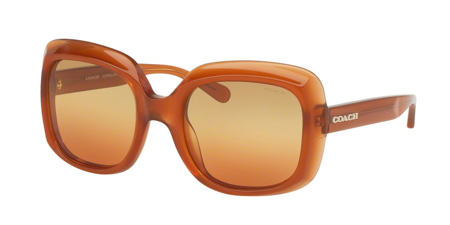 Coach L1616 HC8194 Square Sunglasses  5428W8-MILKY AMBER 53-21-140 - Color Map light brown