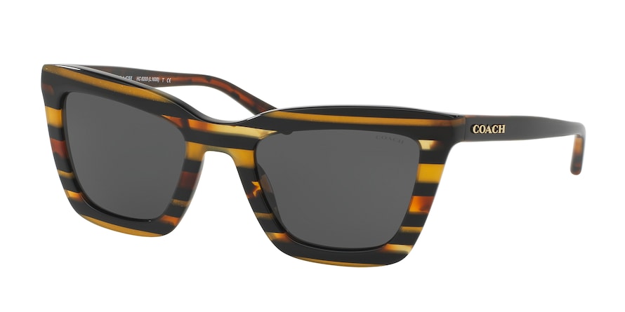 Coach L1630 HC8203 Square Sunglasses  544087-BLK AMBER GLTR VARSITY STRIPE 54-22-140 - Color Map multi