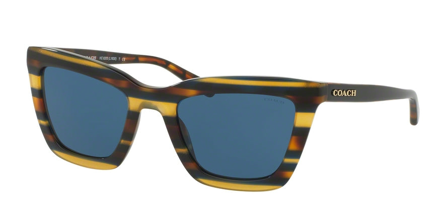 Coach L1630 HC8203 Square Sunglasses  544180-BLUE HONEY GLTR VARSITY STRIPE 54-22-140 - Color Map multi