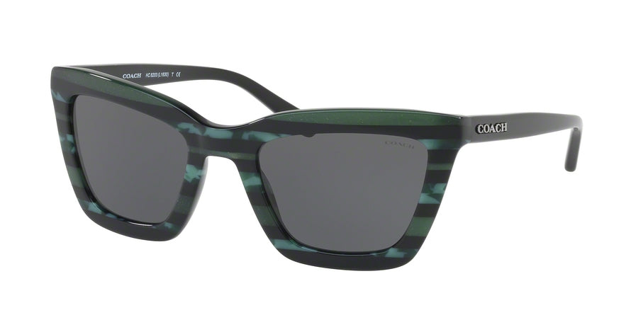 Coach L1630 HC8203 Square Sunglasses  547687-EMERALD GLITTER VARSITY STRIPE 54-22-140 - Color Map multi