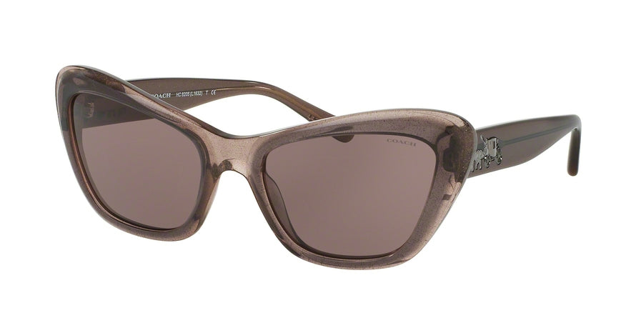 Coach HC8205 Cat Eye Sunglasses  54477N-DIRTY LILAC 56-19-140 - Color Map grey