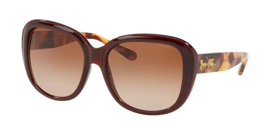 Coach L1634 HC8207 Square Sunglasses  553113-DARK HONEY SOLID 57-17-140 - Color Map honey