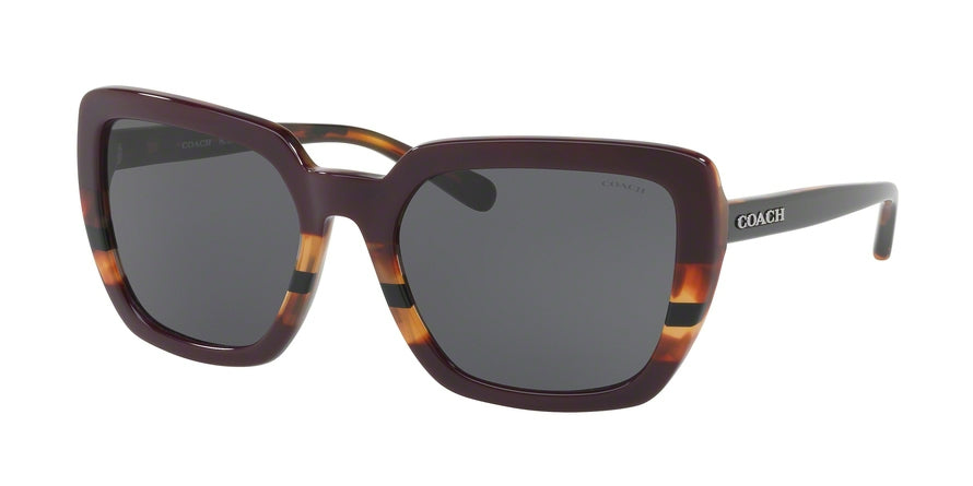 Coach L1654 HC8217 Square Sunglasses  547887-OXBLOOD TORT VARSITY STRIPE 57-20-140 - Color Map multi