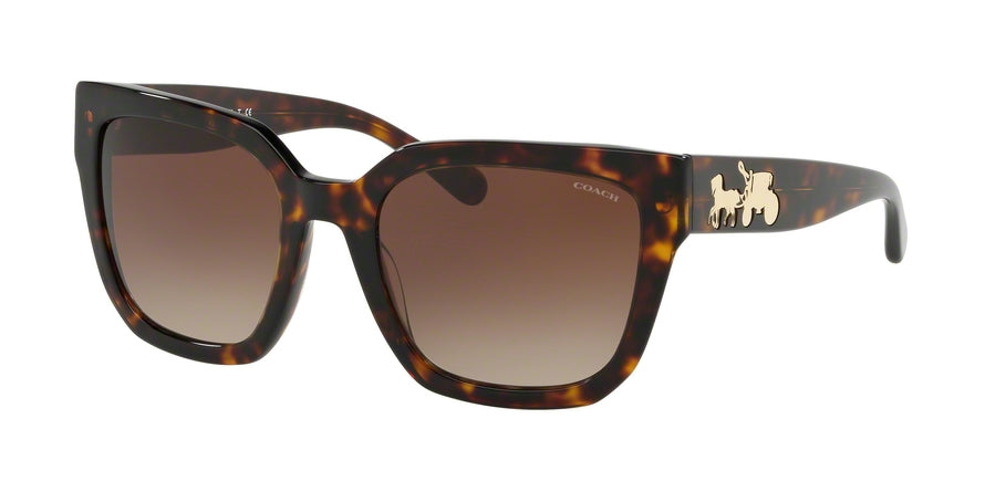 Coach L1049 HC8249 Square Sunglasses  541713-DARK TORT 53-21-140 - Color Map tortoise