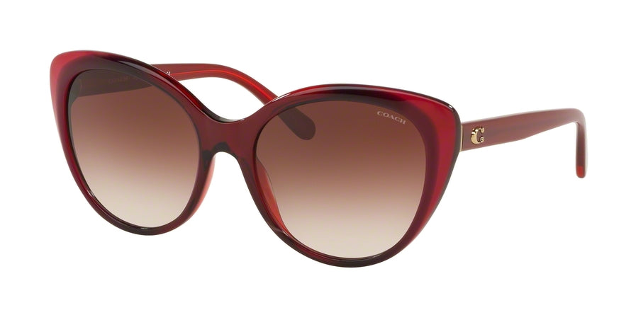 Coach L1060 HC8260 Cat Eye Sunglasses  553213-BERRY LAMINATE 55-18-140 - Color Map berry
