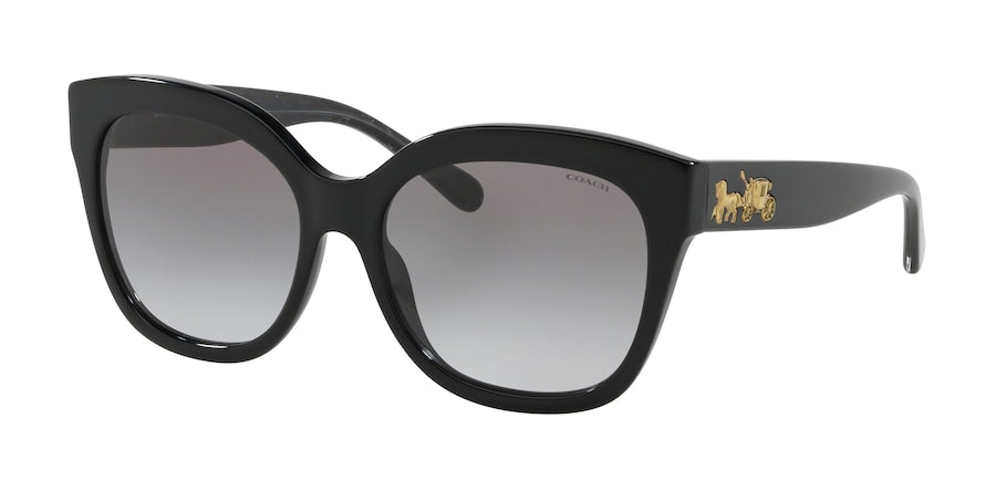 Coach L1077 HC8264F Square Sunglasses  500211-BLACK 56-17-140 - Color Map black