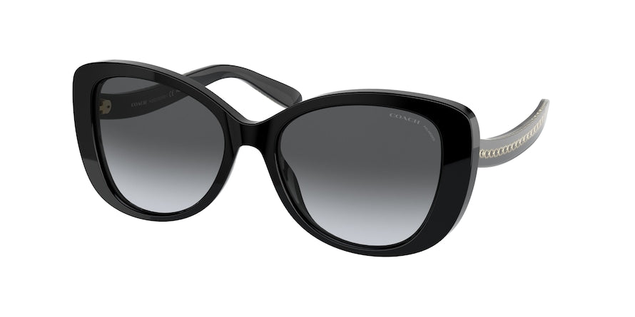 Coach C6184 HC8322F Rectangle Sunglasses  5002T3-BLACK 56-17-140 - Color Map black