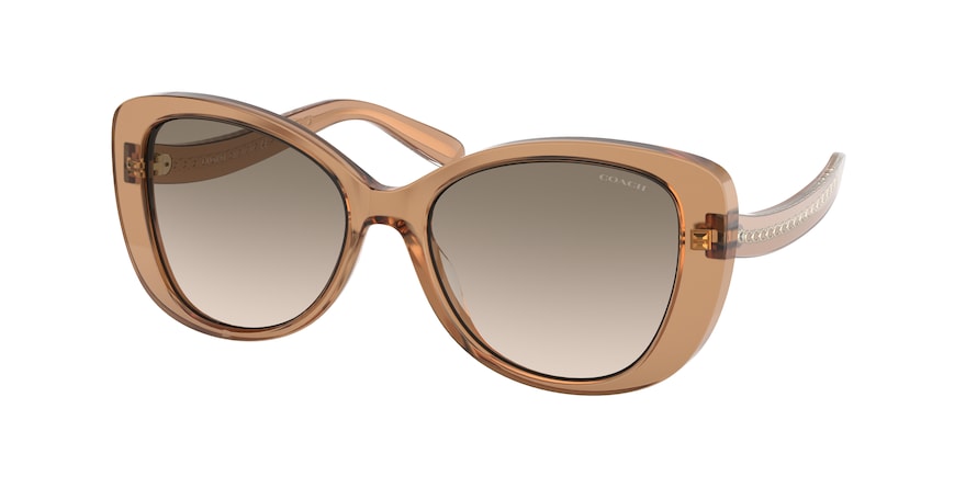 Coach C6184 HC8322F Rectangle Sunglasses  565413-TRANSPARENT BROWN 56-17-140 - Color Map orange