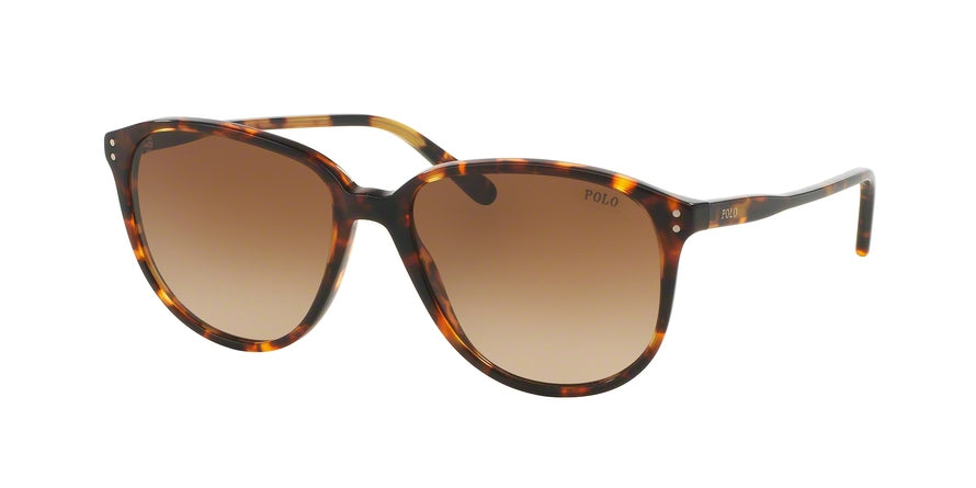 Polo PH4097 Phantos Sunglasses  513413-ANTIQUE TORTOISE 54-16-140 - Color Map havana