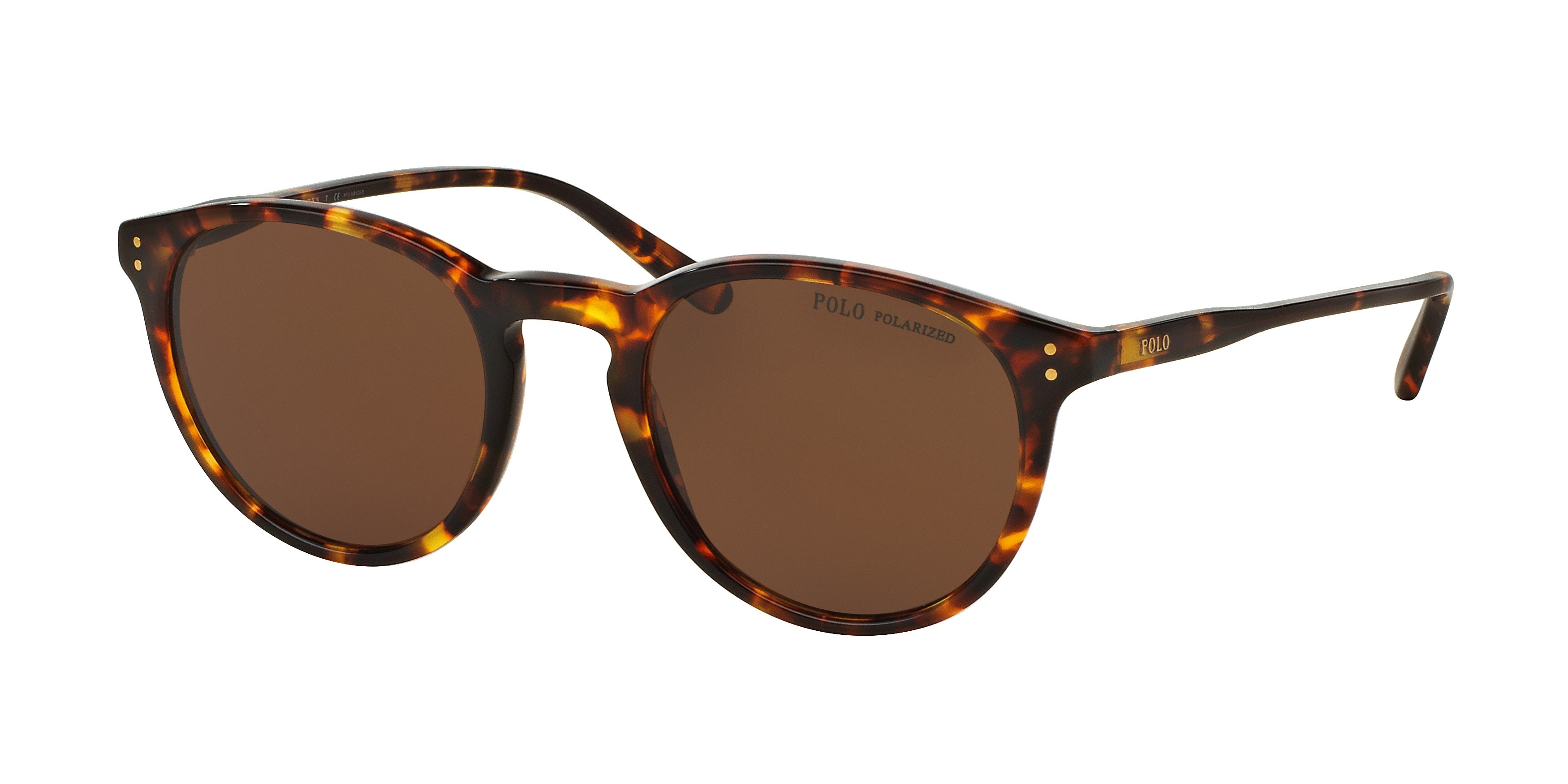 Polo PH4110 Phantos Sunglasses  513483-Shiny Antique Havana 50-145-21 - Color Map Tortoise