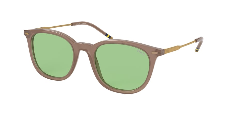Polo PH4164 Square Sunglasses  5538/2-OPALINE TAUPE 51-20-145 - Color Map opal