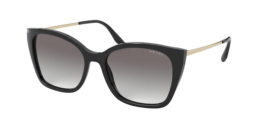 Prada PR12XSF Cat Eye Sunglasses  1AB0A7-BLACK 54-16-145 - Color Map black