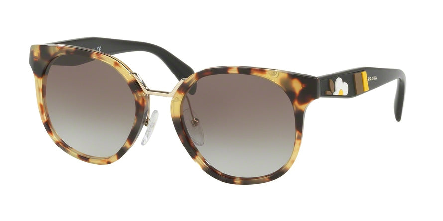 Prada CATWALK PR17TS Square Sunglasses  7S00A7-MEDIUM HAVANA 53-20-140 - Color Map havana