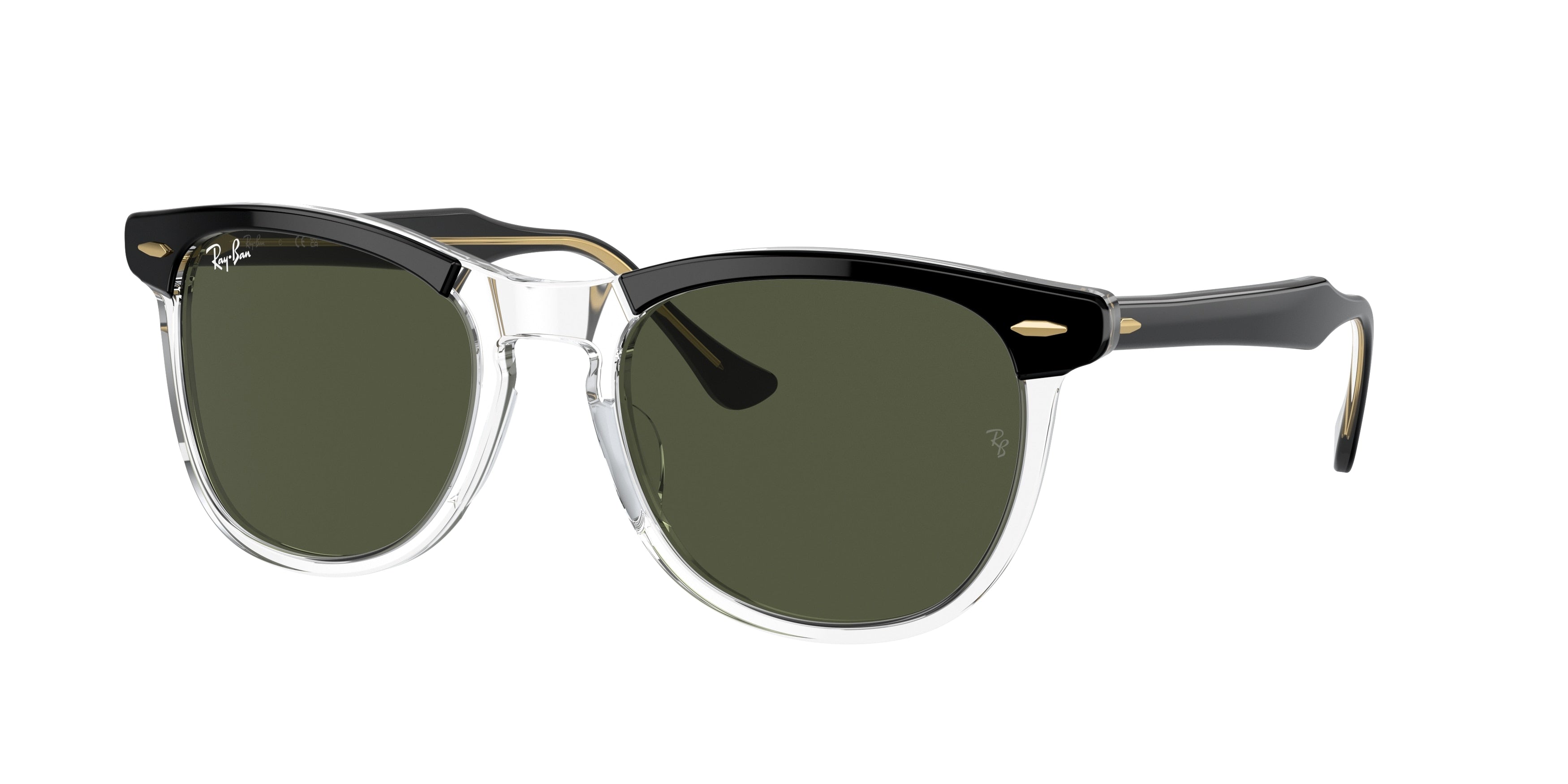 Ray-Ban EAGLEEYE RB2398F Pillow Sunglasses  129431-Black On Transparent 53-145-21 - Color Map Black