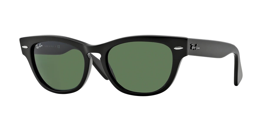 Ray-Ban LARAMIE RB4169 Square Sunglasses  601-BLACK 53-18-140 - Color Map black