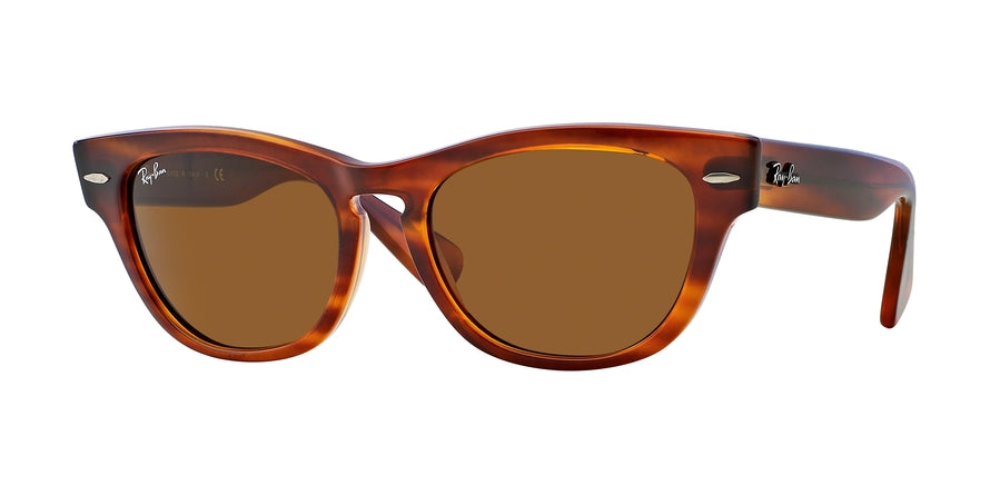 Ray-Ban LARAMIE RB4169 Square Sunglasses  820-STRIPED HAVANA 53-18-140 - Color Map havana