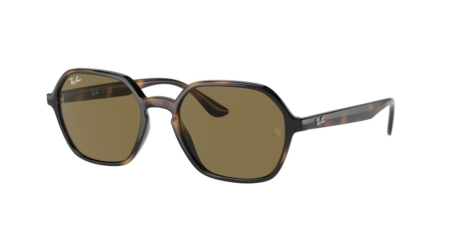 Ray-Ban RB4361F Irregular Sunglasses  710/73-HAVANA 54-18-145 - Color Map havana