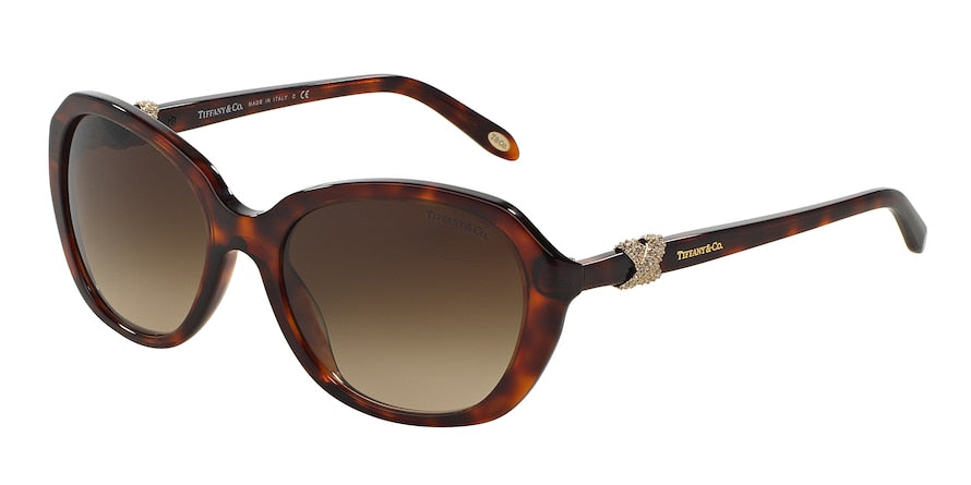 Tiffany TF4108B Irregular Sunglasses  80023B-HAVANA 55-18-140 - Color Map havana