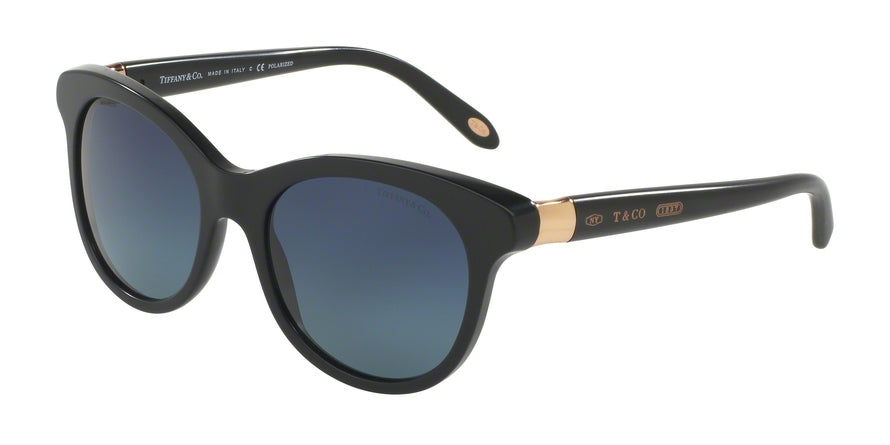 Tiffany TF4125 Round Sunglasses  80014U-MATTE BLACK 52-18-140 - Color Map black