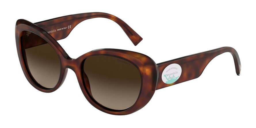 Tiffany TF4153F Oval Sunglasses  80023B-HAVANA 54-19-140 - Color Map havana