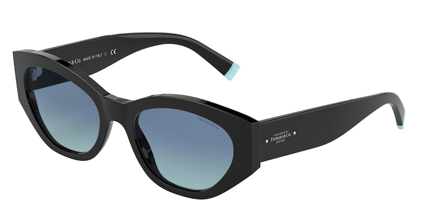 Tiffany TF4172 Oval Sunglasses  80019S-BLACK 54-19-140 - Color Map black