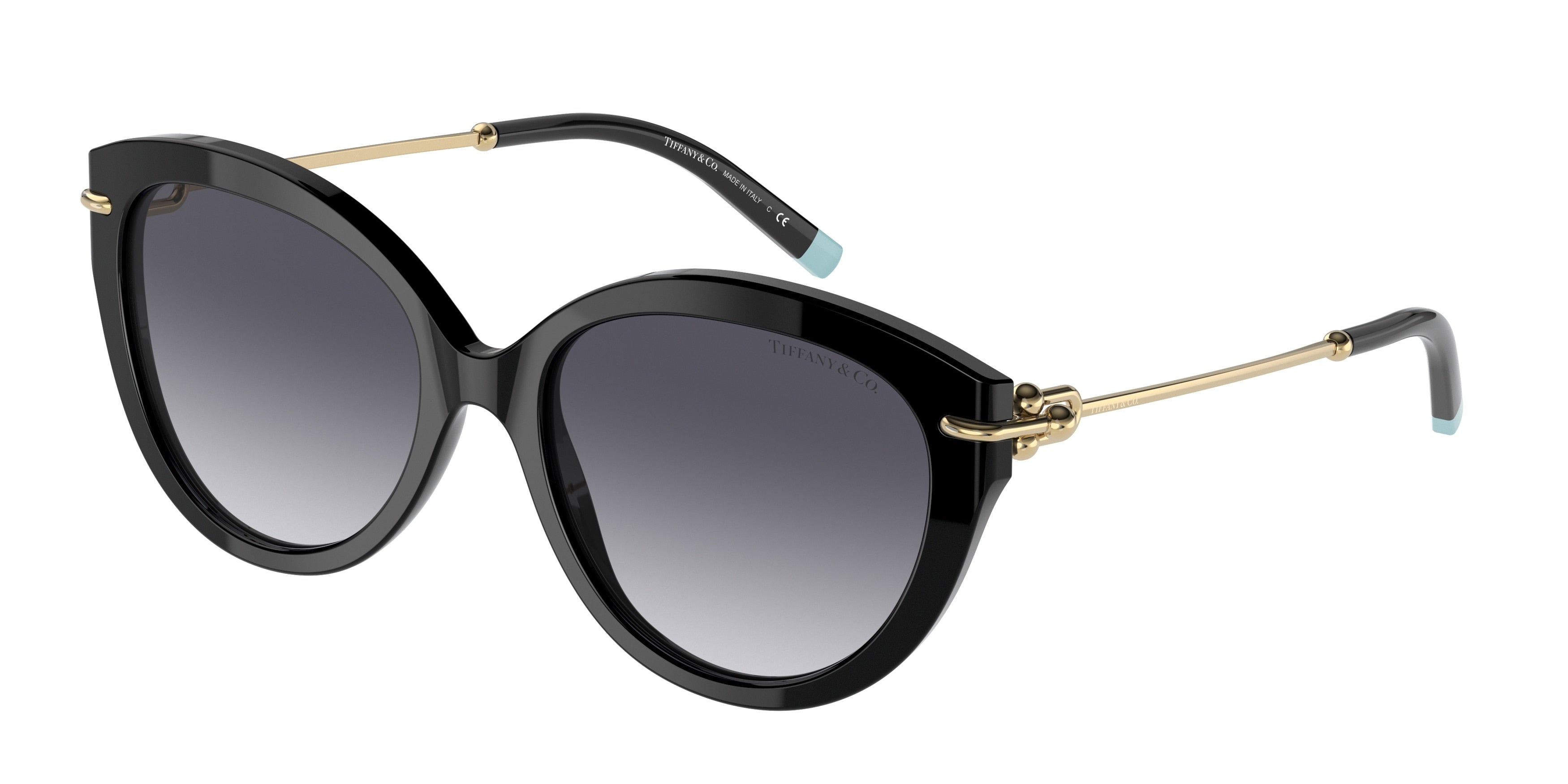 Tiffany TF4187F Oval Sunglasses  80013C-Black 55-140-18 - Color Map Black