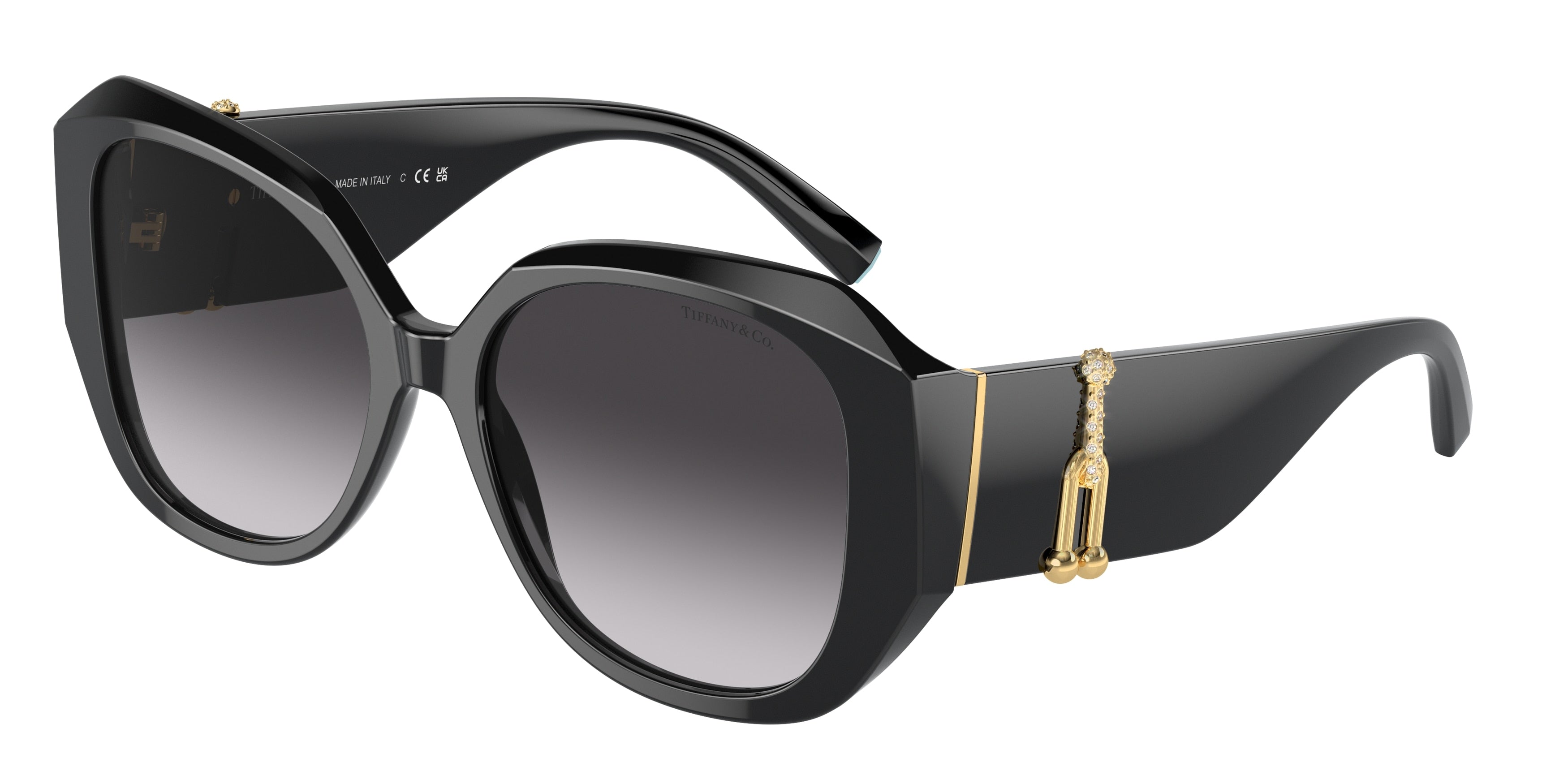 Tiffany TF4207B Square Sunglasses  80013C-Black 55-140-17 - Color Map Black