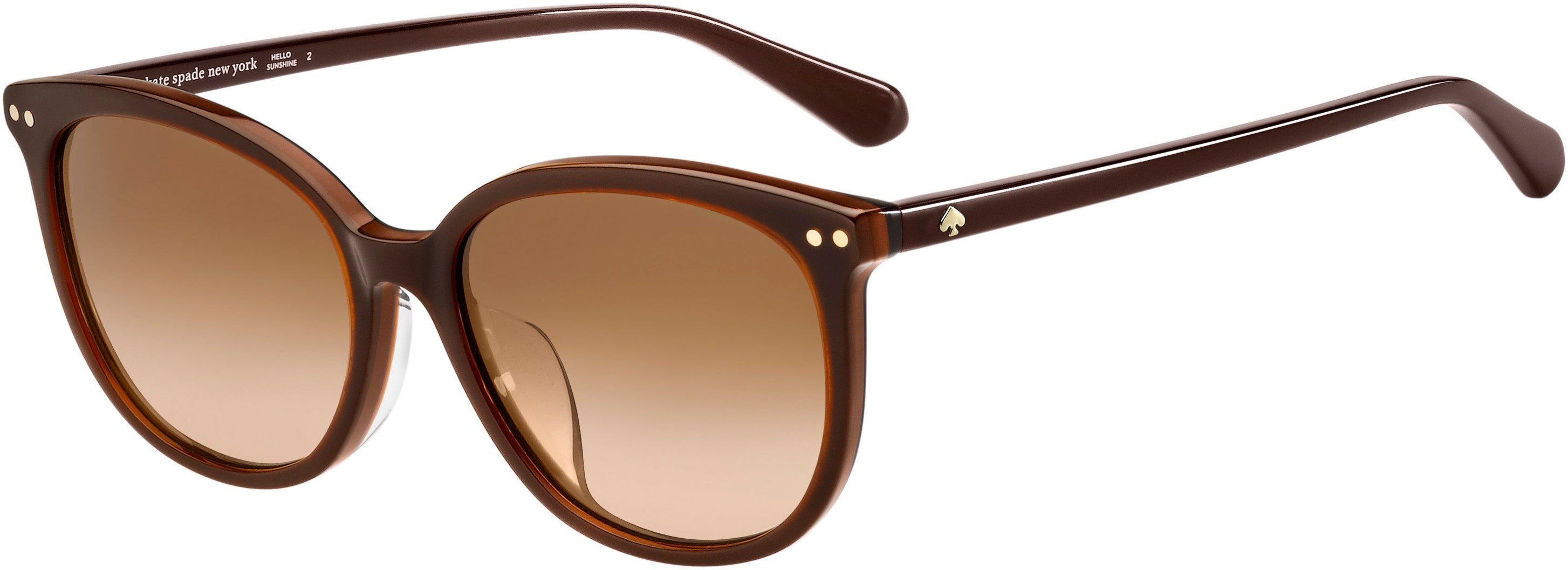 Kate Spade Alina/F/S Tea Cup Sunglasses 009Q-009Q  Brown (HA Brown Gradient)