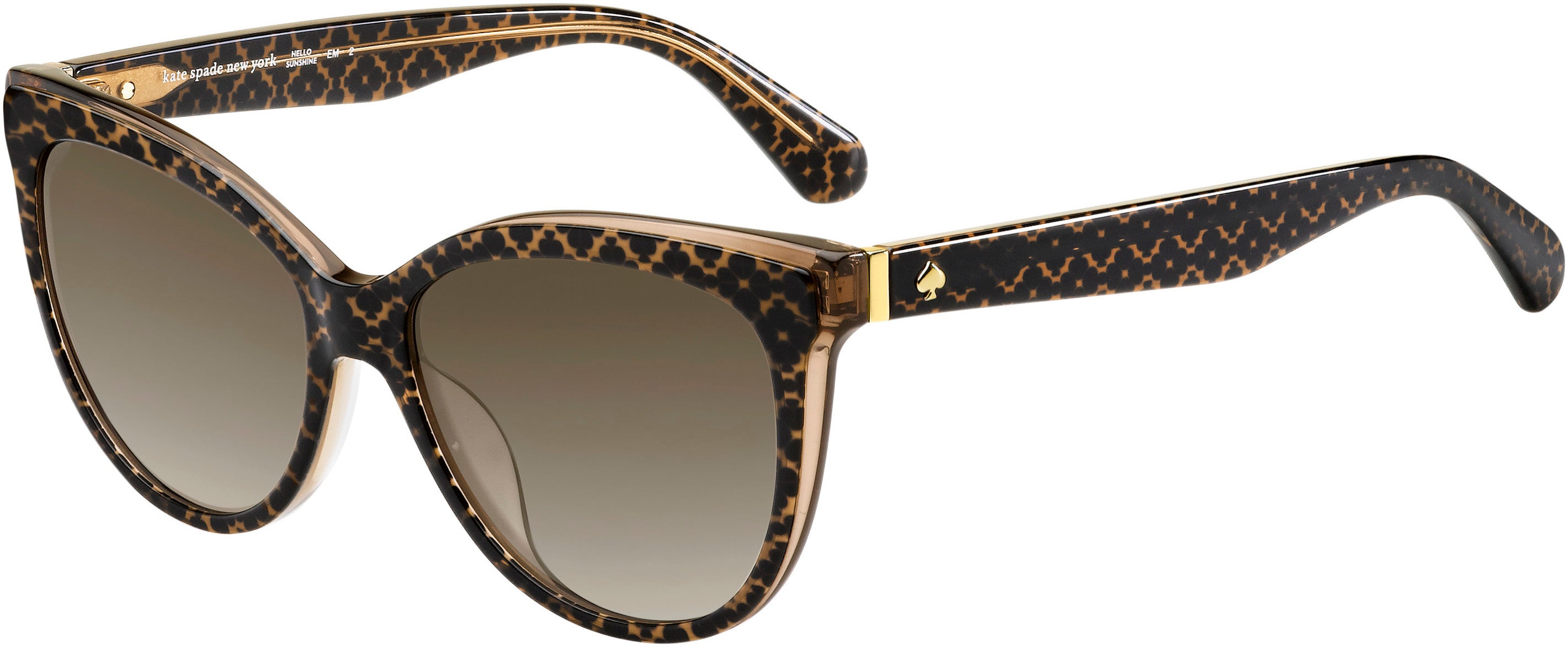 Kate Spade Daesha/S Cat Eye/butterfly Sunglasses 0305-0305  Brown Hontwe (HA Brown Gradient)