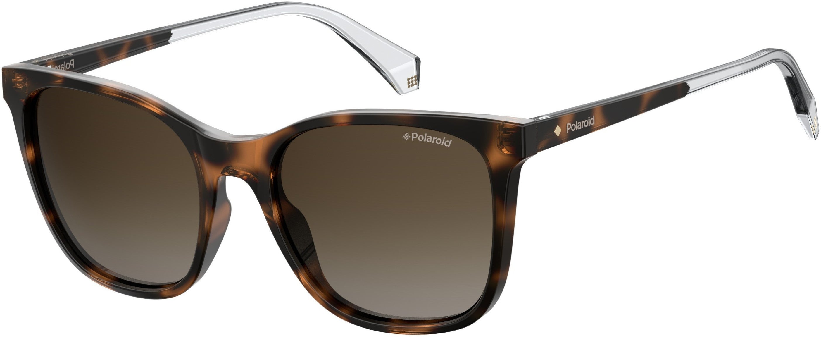 Polaroid Core Polaroid 4059/S Square Sunglasses 0086-0086  Dark Havana (LA Brown Gradient Polz)
