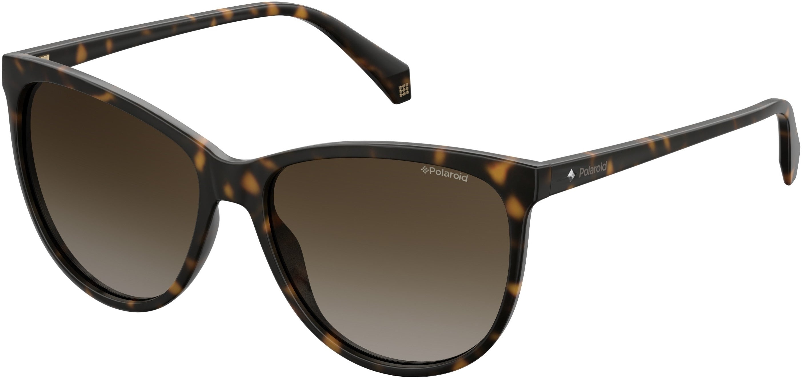 Polaroid Core Polaroid 4066/S Square Sunglasses 0086-0086  Dark Havana (LA Brown Gradient Polz)