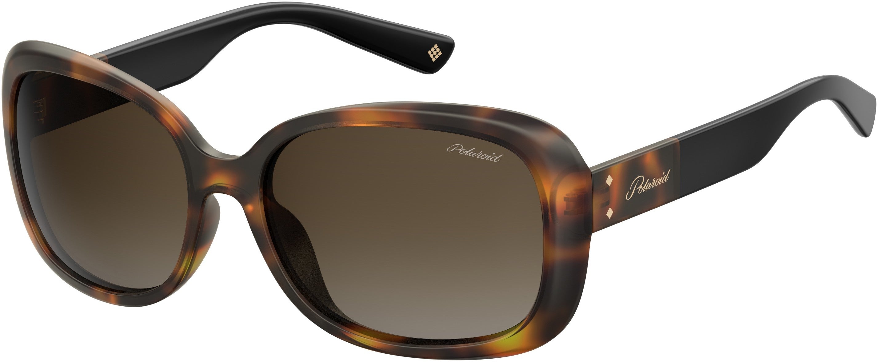 Polaroid Core Polaroid 4069/G/s/X Square Sunglasses 0086-0086  Dark Havana (LA Brown Gradient Polz)
