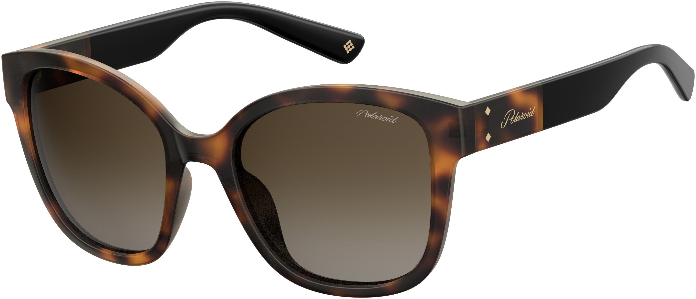 Polaroid Core Polaroid 4070/S/X Square Sunglasses 0086-0086  Dark Havana (LA Brown Gradient Polz)