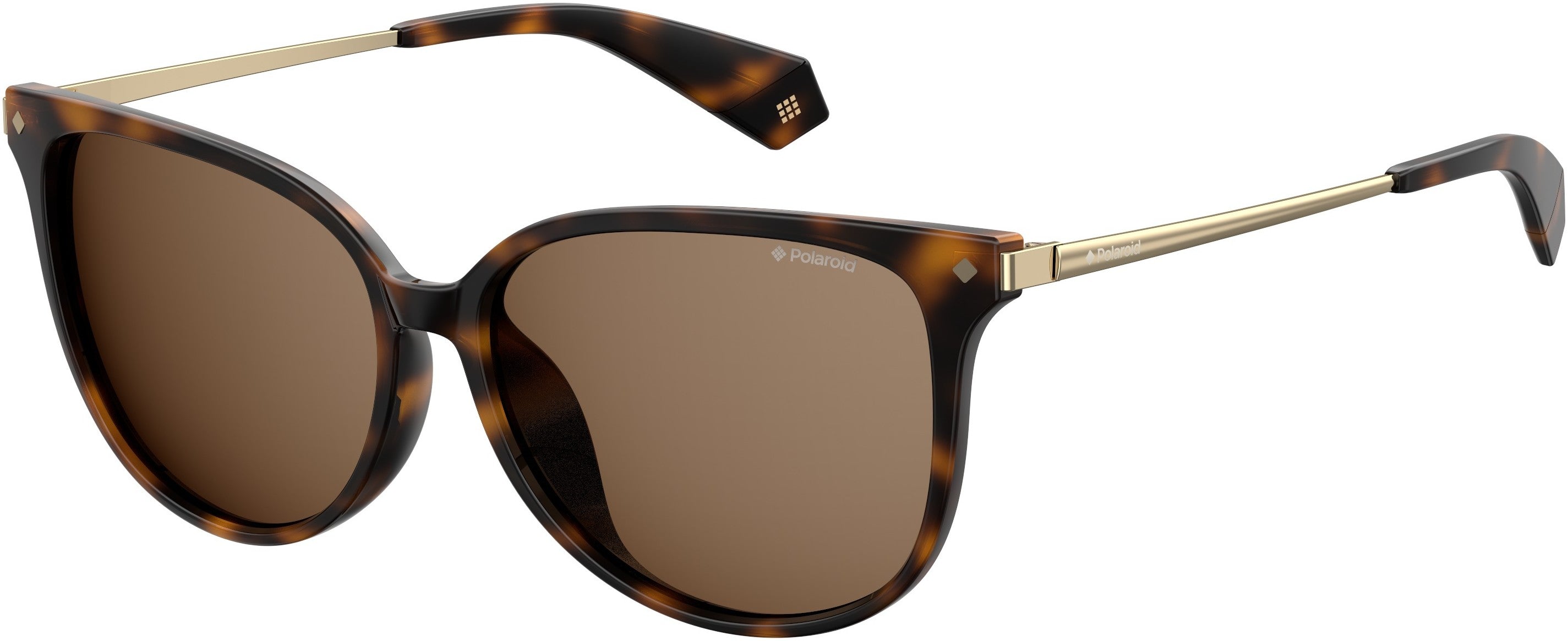 Polaroid Core Polaroid 4076/F/S Square Sunglasses 0086-0086  Dark Havana (SP Bronze Pz)