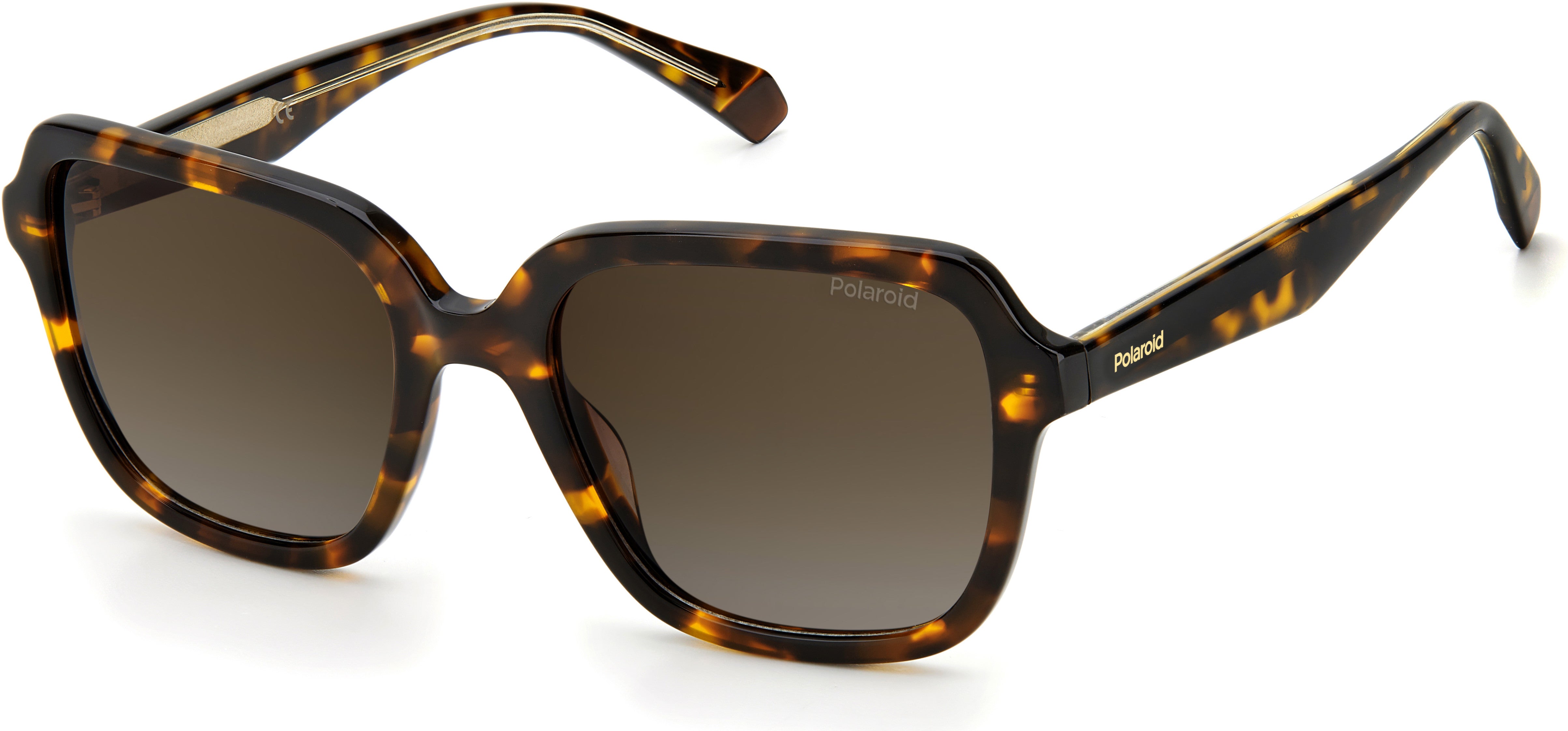 Polaroid Core Polaroid 4095/S/X Square Sunglasses 0086-0086  Dark Havana (LA Brown Gradient Polz)