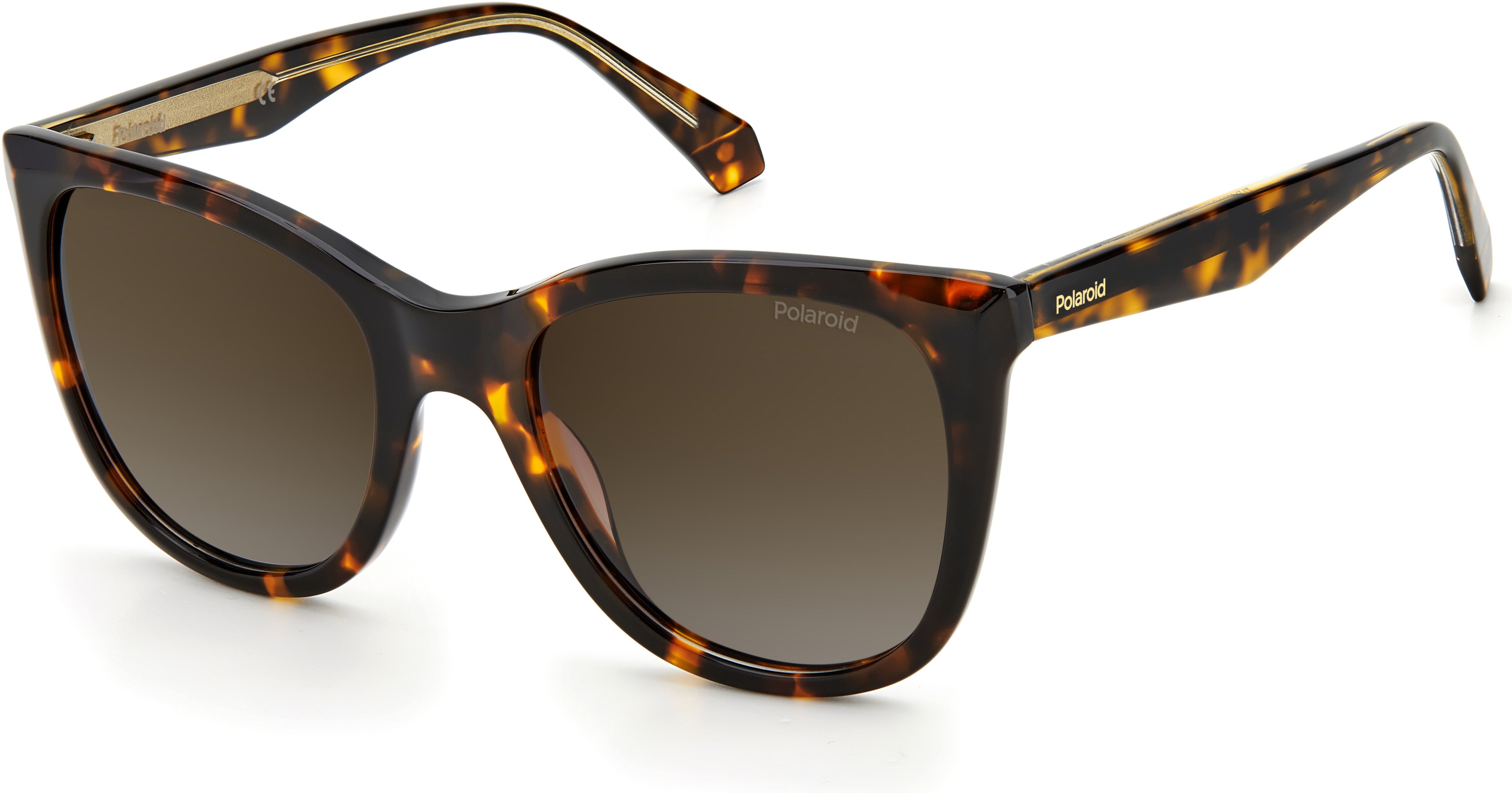 Polaroid Core Polaroid 4096/S/X Square Sunglasses 0086-0086  Dark Havana (LA Brown Gradient Polz)