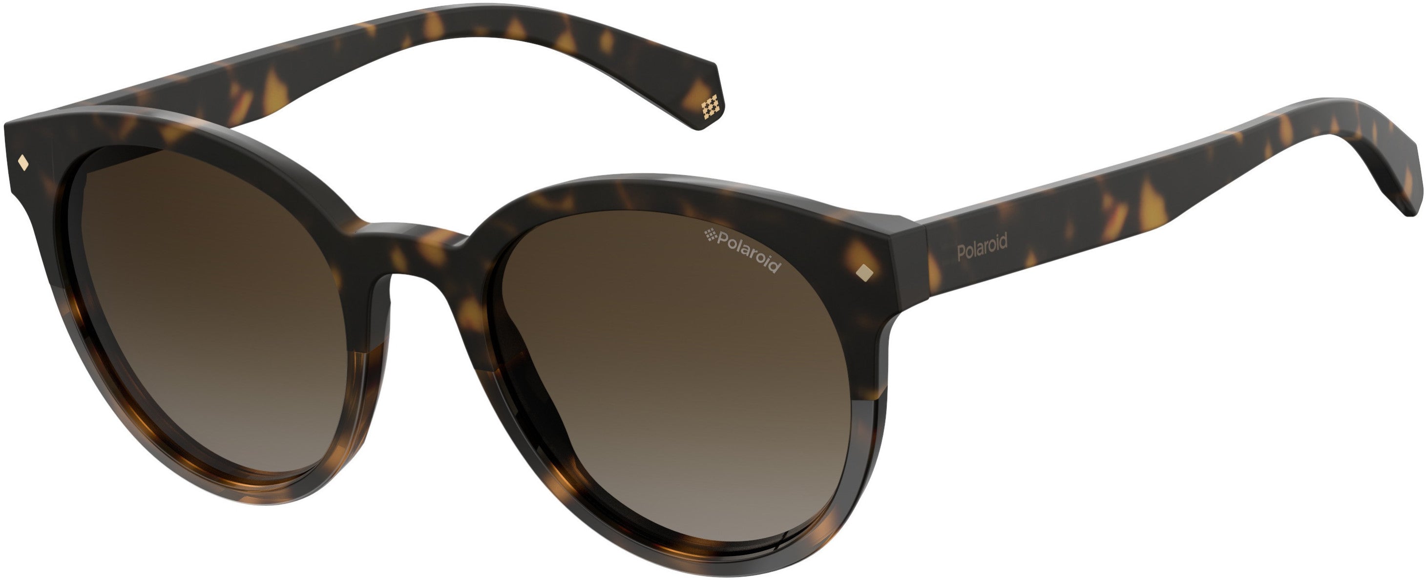 Polaroid Core Polaroid 6043/S Oval Modified Sunglasses 0086-0086  Dark Havana (LA Brown Gradient Polz)