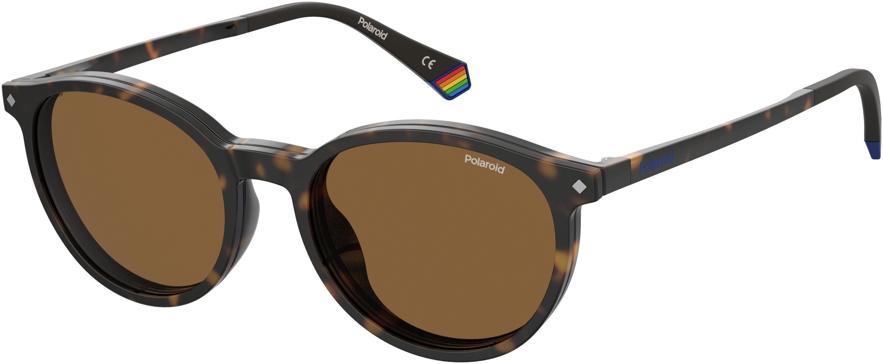 Polaroid Core Polaroid 6137/cs Oval Modified Sunglasses 0086-0086  Dark Havana (SP Bronze Pz)