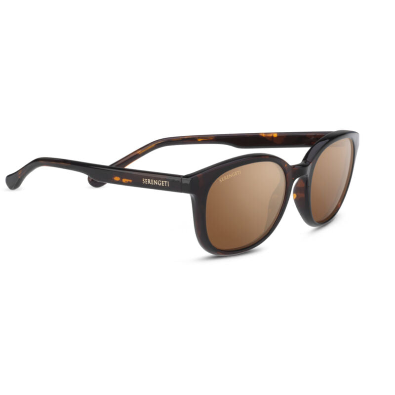 Serengeti Mara Sunglasses  Shiny Tortoise Medium